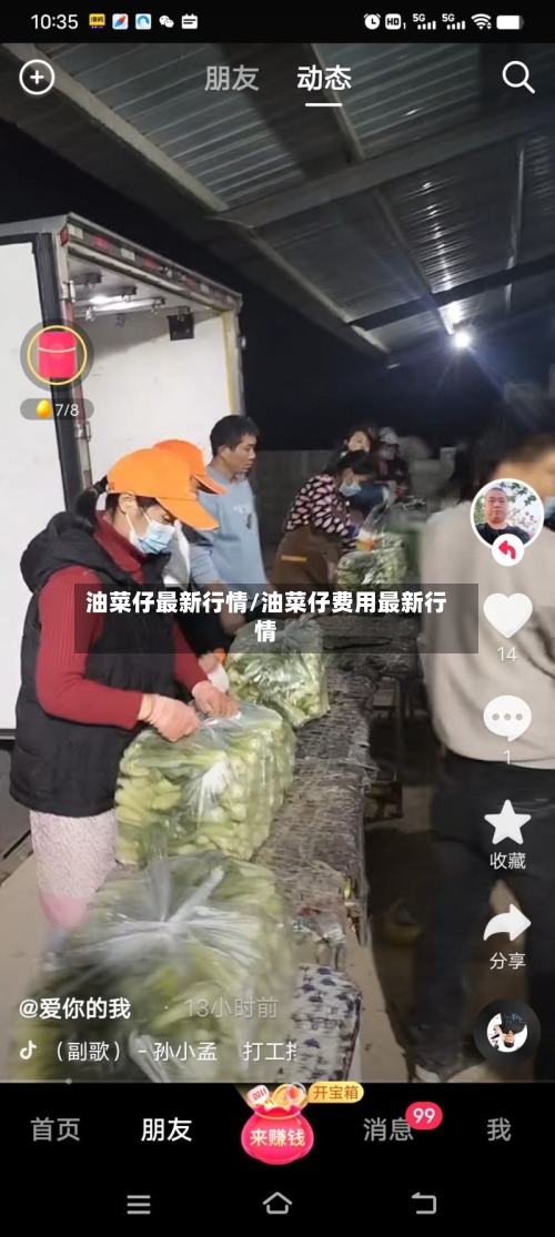 油菜仔最新行情/油菜仔费用最新行情-第3张图片