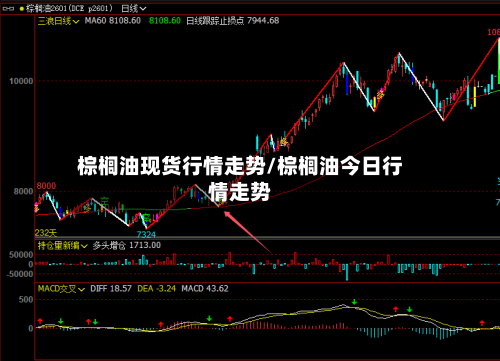 棕榈油现货行情走势/棕榈油今日行情走势-第2张图片