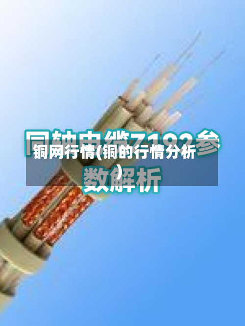 铜网行情(铜的行情分析)