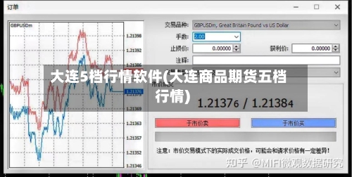 大连5档行情软件(大连商品期货五档行情)