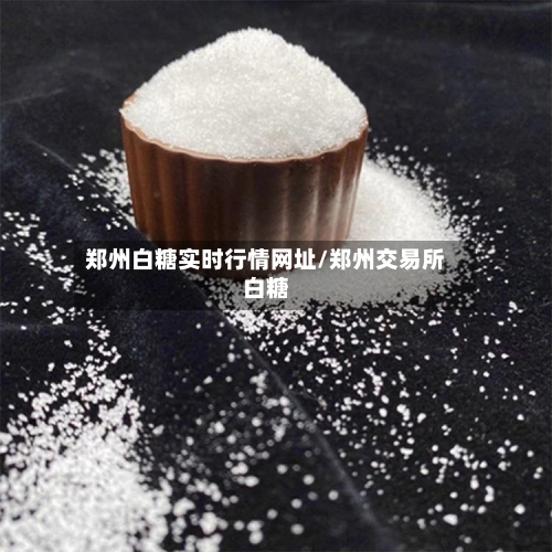 郑州白糖实时行情网址/郑州交易所白糖