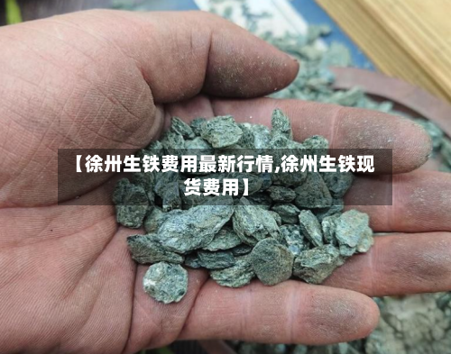 【徐卅生铁费用最新行情,徐州生铁现货费用】-第2张图片