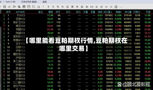 【哪里能看豆粕期权行情,豆粕期权在哪里交易】-第2张图片