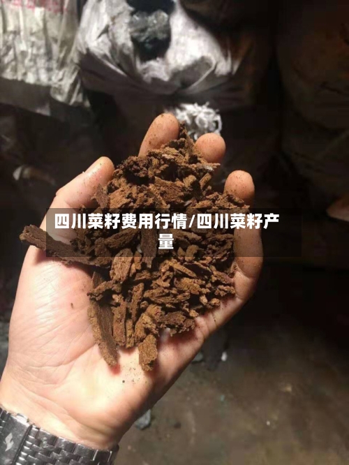 四川菜籽费用行情/四川菜籽产量-第2张图片