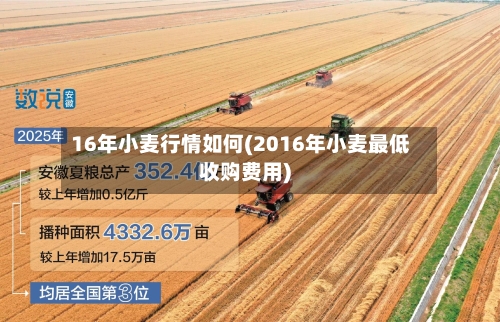 16年小麦行情如何(2016年小麦最低收购费用)