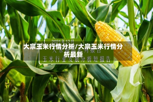 大宗玉米行情分析/大宗玉米行情分析最新-第3张图片