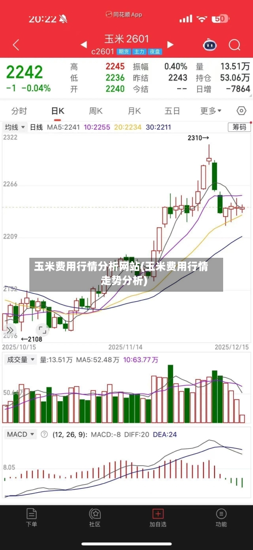玉米费用行情分析网站(玉米费用行情走势分析)