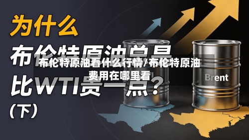 布伦特原油看什么行情/布伦特原油费用在哪里看