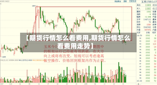 【期货行情怎么看费用,期货行情怎么看费用走势】-第3张图片