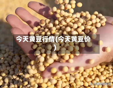 今天黄豆行情(今天黄豆价)