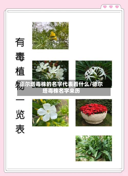 德尔塔毒株的名字代表着什么/德尔塔毒株名字来历-第2张图片