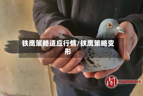 铁鹰策略适应行情/铁鹰策略变形