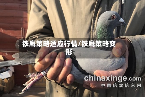铁鹰策略适应行情/铁鹰策略变形-第3张图片