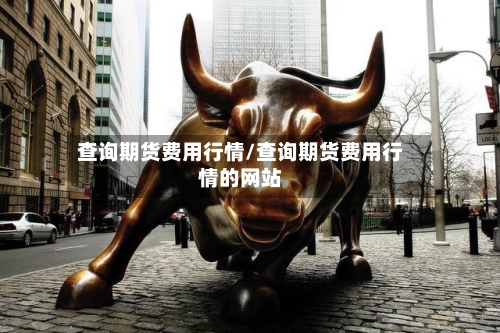 查询期货费用行情/查询期货费用行情的网站
