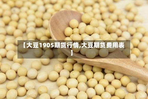 【大豆1905期货行情,大豆期货费用表】