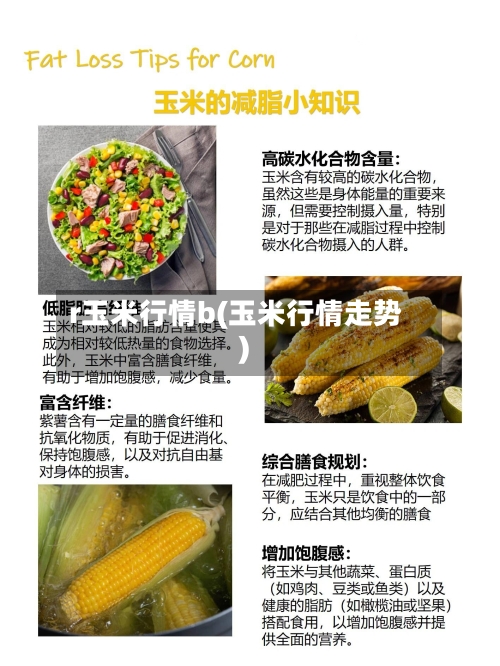 r玉米行情b(玉米行情走势)