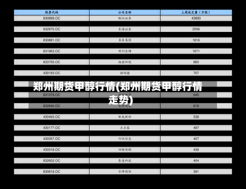 郑州期货甲醇行情(郑州期货甲醇行情走势)-第3张图片