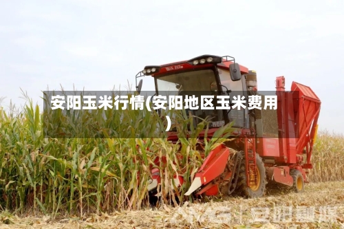 安阳玉米行情(安阳地区玉米费用)