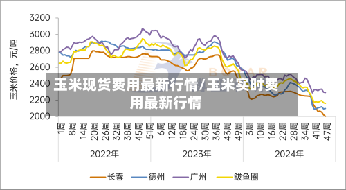 玉米现货费用最新行情/玉米实时费用最新行情-第2张图片