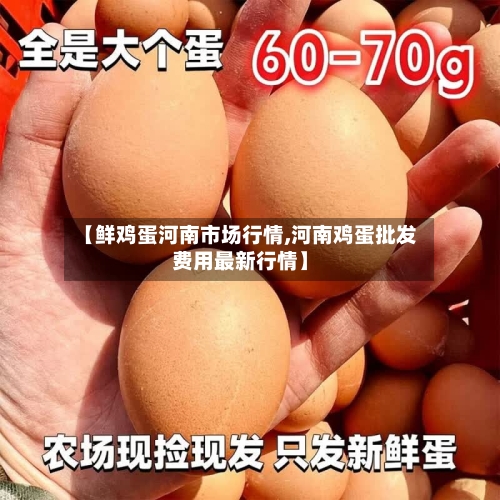 【鲜鸡蛋河南市场行情,河南鸡蛋批发费用最新行情】