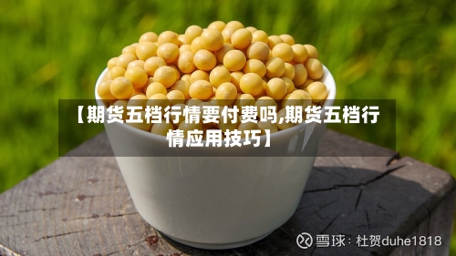 【期货五档行情要付费吗,期货五档行情应用技巧】-第3张图片