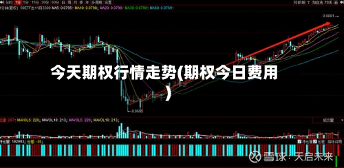 今天期权行情走势(期权今日费用)