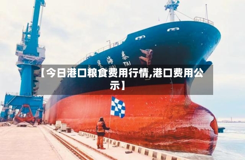 【今日港口粮食费用行情,港口费用公示】