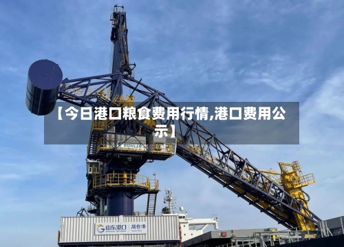【今日港口粮食费用行情,港口费用公示】-第3张图片