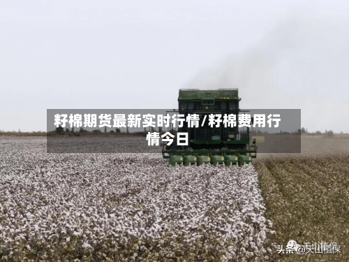 籽棉期货最新实时行情/籽棉费用行情今日-第3张图片