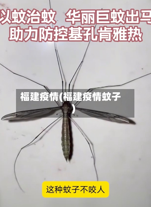 福建疫情(福建疫情蚊子)-第3张图片