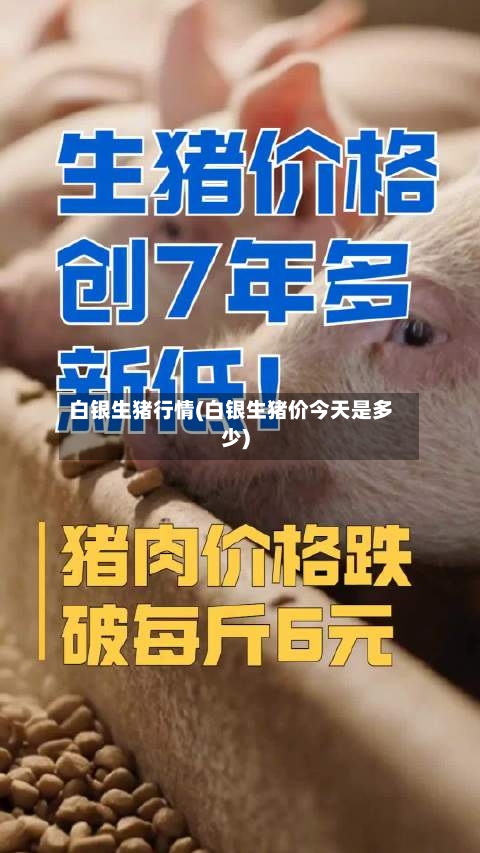 白银生猪行情(白银生猪价今天是多少)