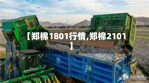 【郑棉1801行情,郑棉2101】-第2张图片
