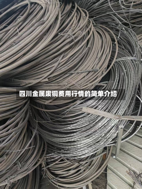 四川金属废铜费用行情的简单介绍