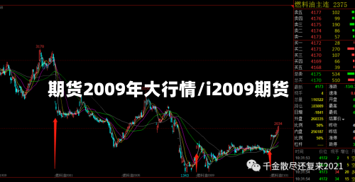 期货2009年大行情/i2009期货