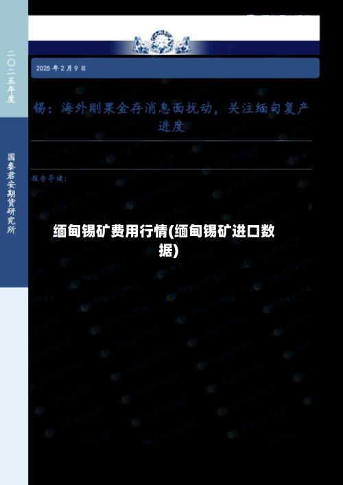 缅甸锡矿费用行情(缅甸锡矿进口数据)-第2张图片
