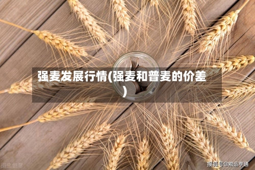 强麦发展行情(强麦和普麦的价差)-第2张图片