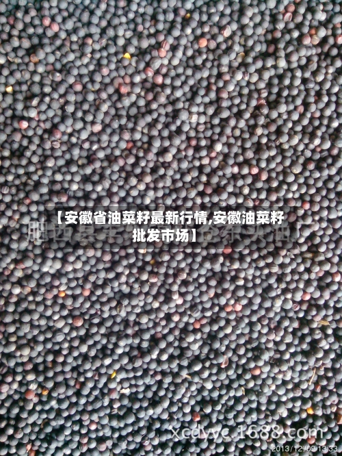 【安徽省油菜籽最新行情,安徽油菜籽批发市场】