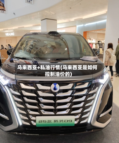 马来西亚+私油行情(马来西亚是如何控制油价的)-第2张图片