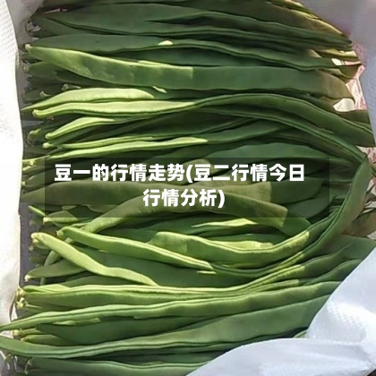 豆一的行情走势(豆二行情今日行情分析)