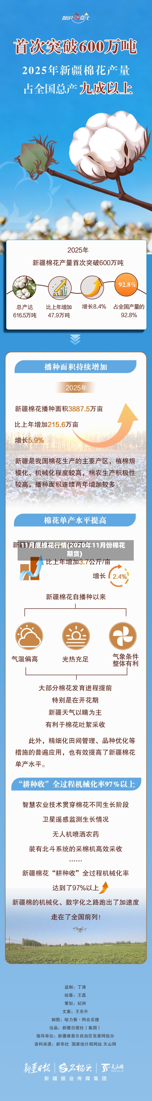 11月底棉花行情(2020年11月份棉花期货)-第2张图片