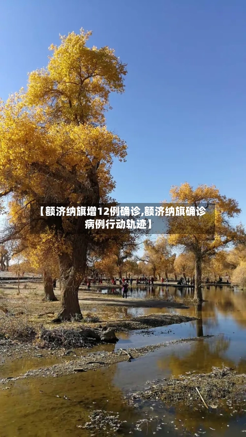 【额济纳旗增12例确诊,额济纳旗确诊病例行动轨迹】-第2张图片