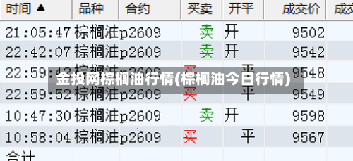金投网棕榈油行情(棕榈油今日行情)-第2张图片