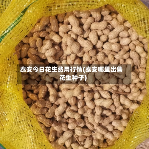 泰安今日花生费用行情(泰安哪里出售花生种子)-第2张图片