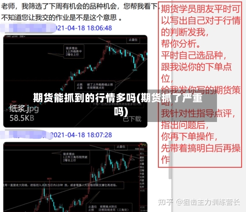 期货能抓到的行情多吗(期货抓了严重吗)-第2张图片