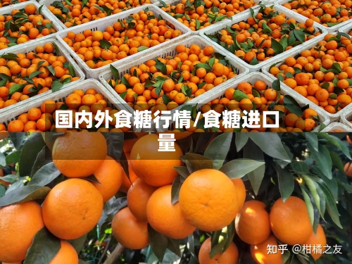 国内外食糖行情/食糖进口量