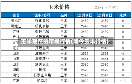 玉米现在的市场行情(如今玉米行情)