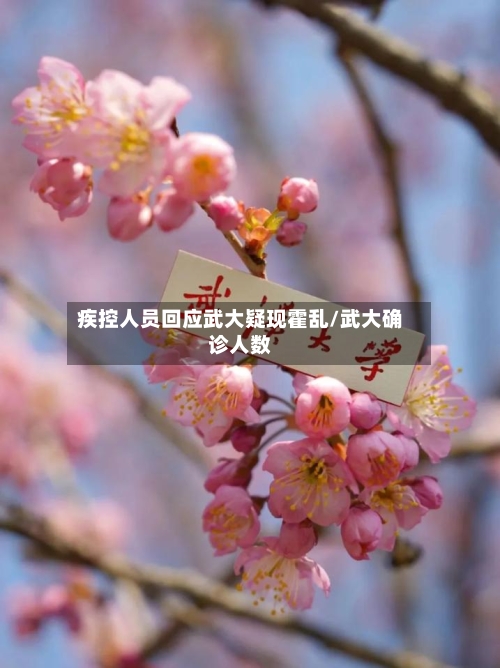 疾控人员回应武大疑现霍乱/武大确诊人数