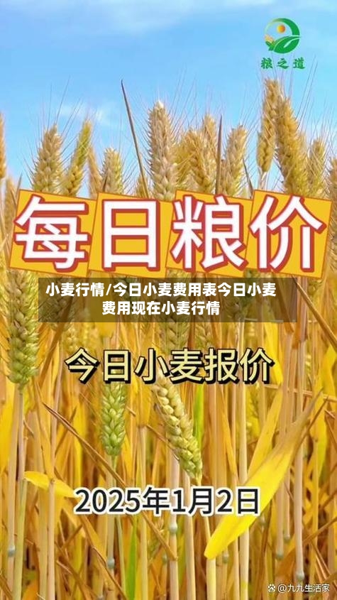 小麦行情/今日小麦费用表今日小麦费用现在小麦行情-第2张图片