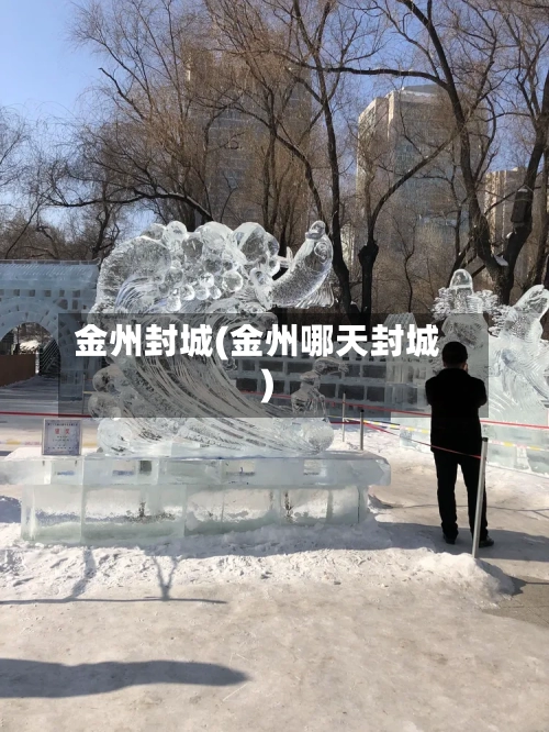 金州封城(金州哪天封城)