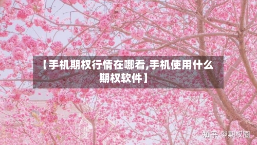 【手机期权行情在哪看,手机使用什么期权软件】-第3张图片